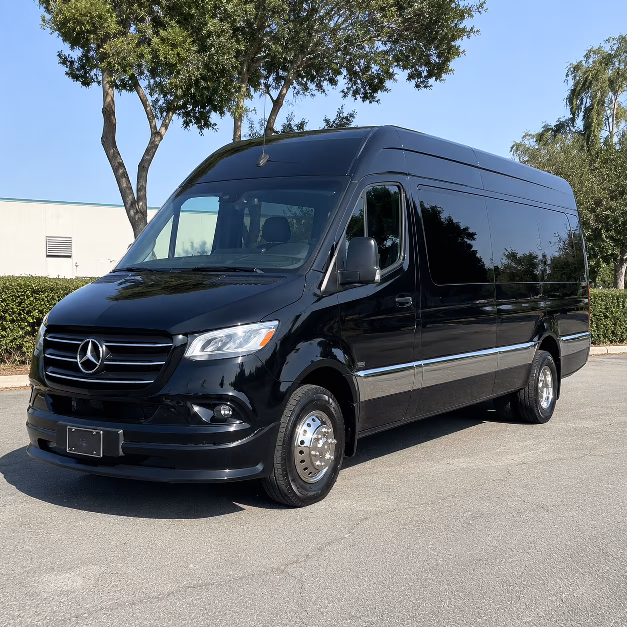 charleston 15 passenger sprinter van