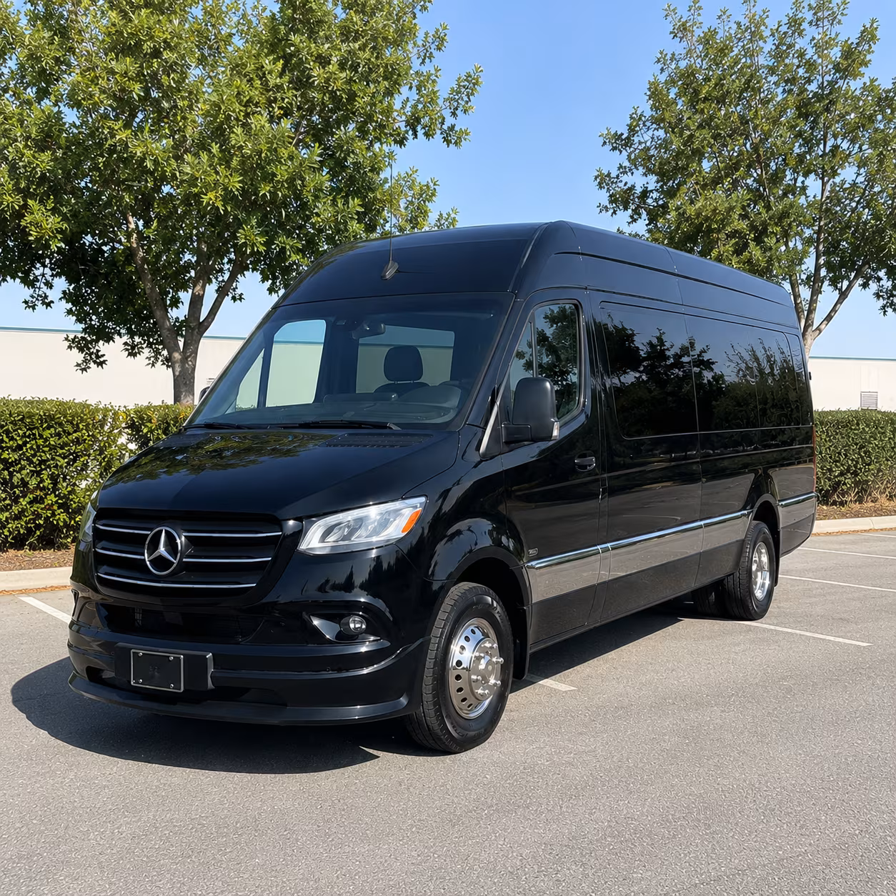 charleston 20 passenger sprinter van